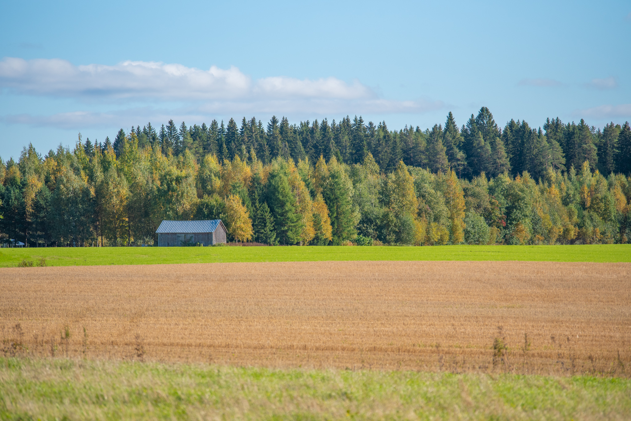 Suomen maatalousautomaatio ry - Suomen maatalousautomaatio